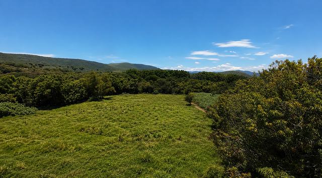 Cerro y pastizal bajo cielo despejado