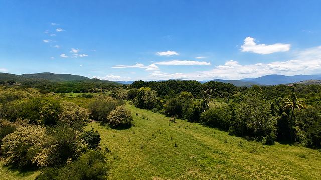 Loma cubierta de vegetación