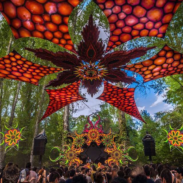 Dosel coral en forma de estrella sobre el bosque